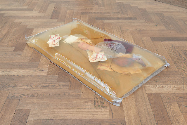 Olga Balema, become a stranger to yourself, 2017, Fabric, latex, photographs, silicone,soft PVC, steel, water, 7.6&nbsp;×&nbsp;139.7&nbsp;×&nbsp;76.2 cm, installation view Ungestalt, Kunsthalle Basel, 2017