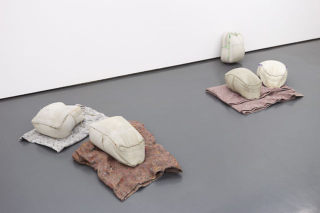 Marie Lund, installation view, Flush, Badischer Kunstverein, Karlsruhe, 2015