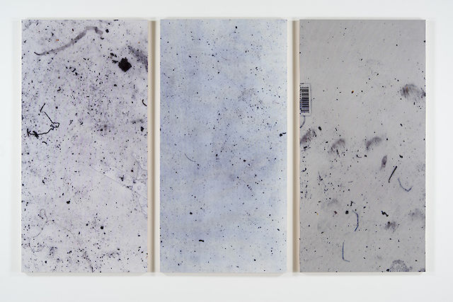 Hugh Scott-Douglas, Untitled, 2013, UV curable ink on panel, 203&nbsp;×&nbsp;305 cm (three parts)