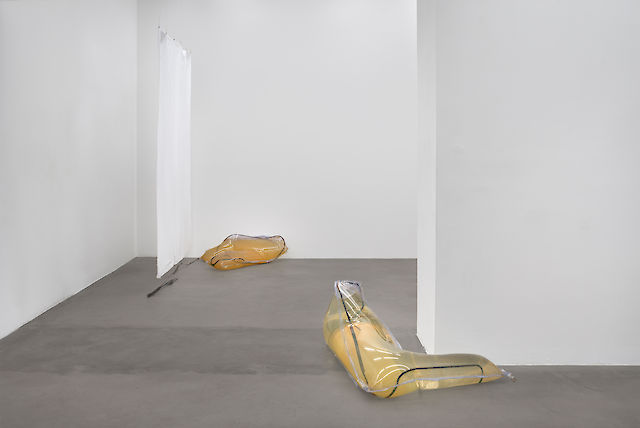 Olga Balema, installation view Cannibals, Croy Nielsen, 2015