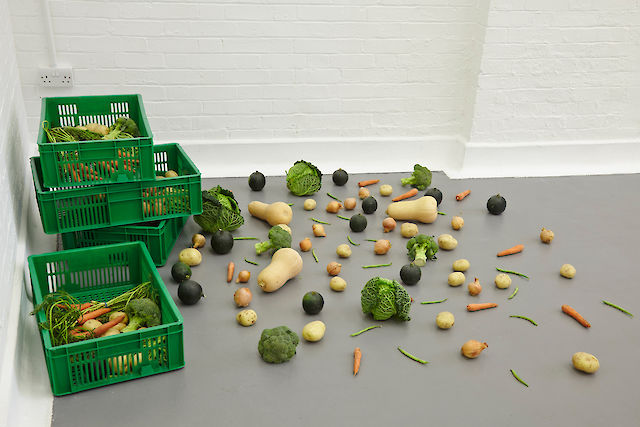 Nina Beier, Nina Beier, Scheme, 2014, online organic vegetable box scheme, delivered to the gallery at scheduled intervals, dimensions variable, installation view DRAF, London, 2014