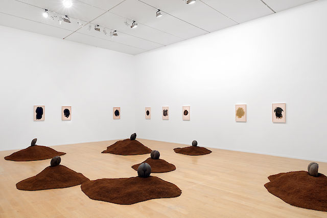 Nina Beier, installtion view, La Vie Moderne, 13th Biennale de Lyon, Lyon,&nbsp;2015