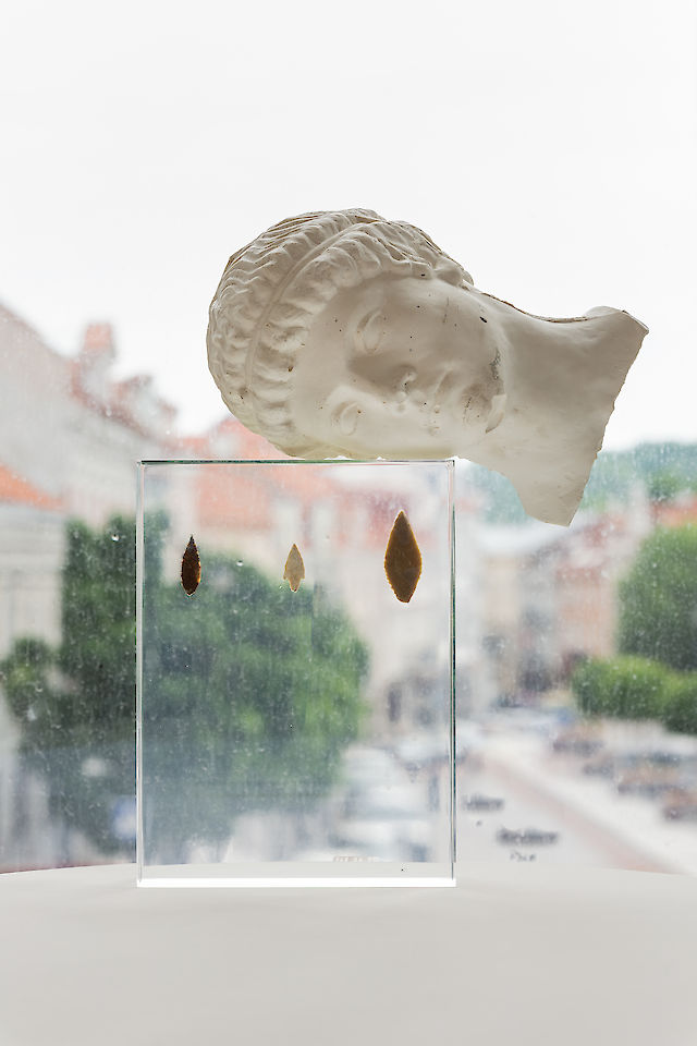 Benoît Maire, installation view Give Up The Ghost, CAC Baltic Triennial, Lithuania, 2018