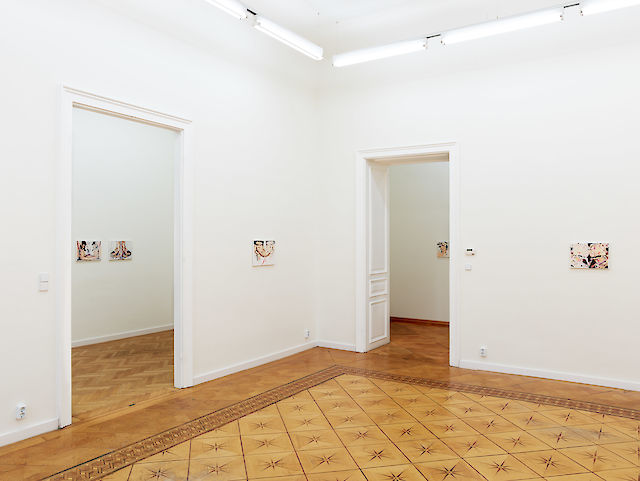 Marlie Mul, installation view Booby, Croy Nielsen, Vienna, 2017