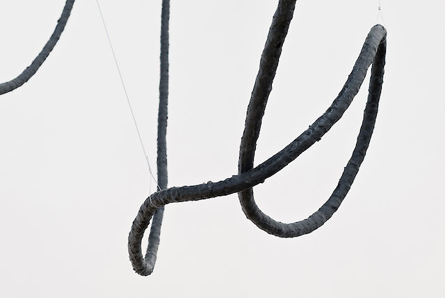 Iza Tarasewicz, Arena II, 2016 (Detail), Hemp fibre, silicone, 700&nbsp;×&nbsp;4 ⌀ cm, Dimensions variable
