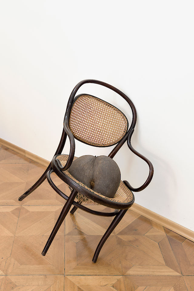 Nina Beier, Female Nude, 2016, Thonet Chair, Cocos Nucifera (Coco Fesse), 101&nbsp;×&nbsp;71&nbsp;×&nbsp;54 cm, Unique Photos by: Georg Petermichl