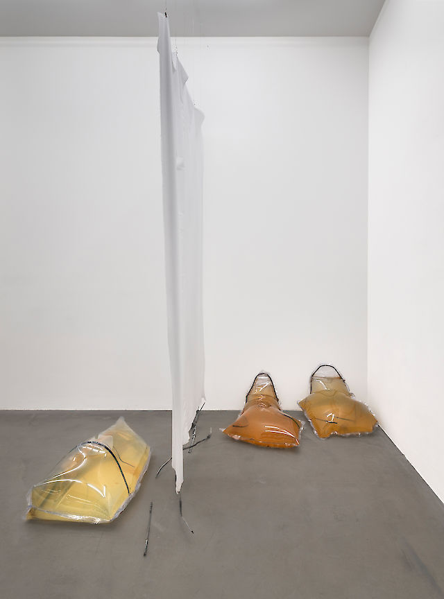 Olga Balema, installation view Cannibals, 2015
