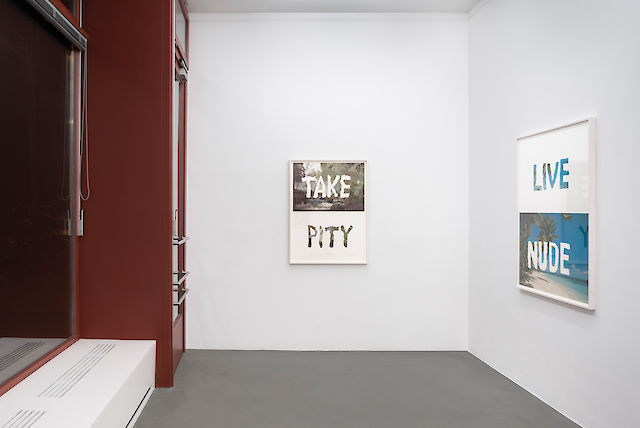 Mitchell Syrop, installation view The Same Mistake, 2015