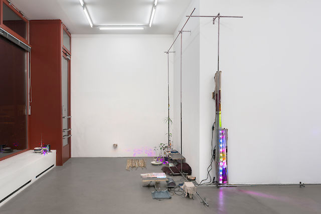 Martin Erik Andersen, installation view Never say it isn’t so, (mimicry) , 2014