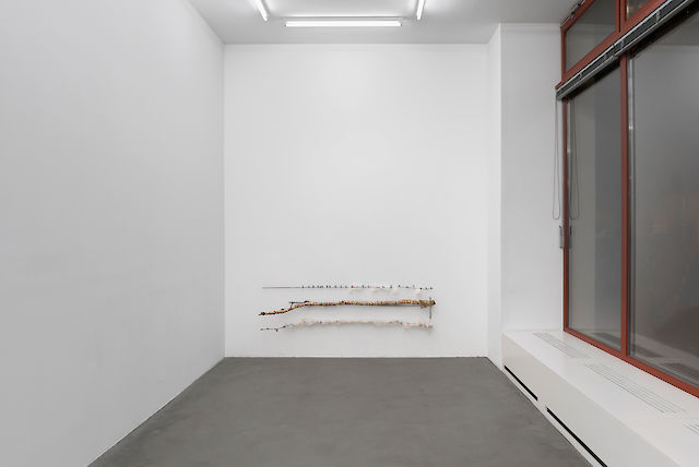 Martin Erik Andersen, installation view Never say it isn’t so, (mimicry) , 2014