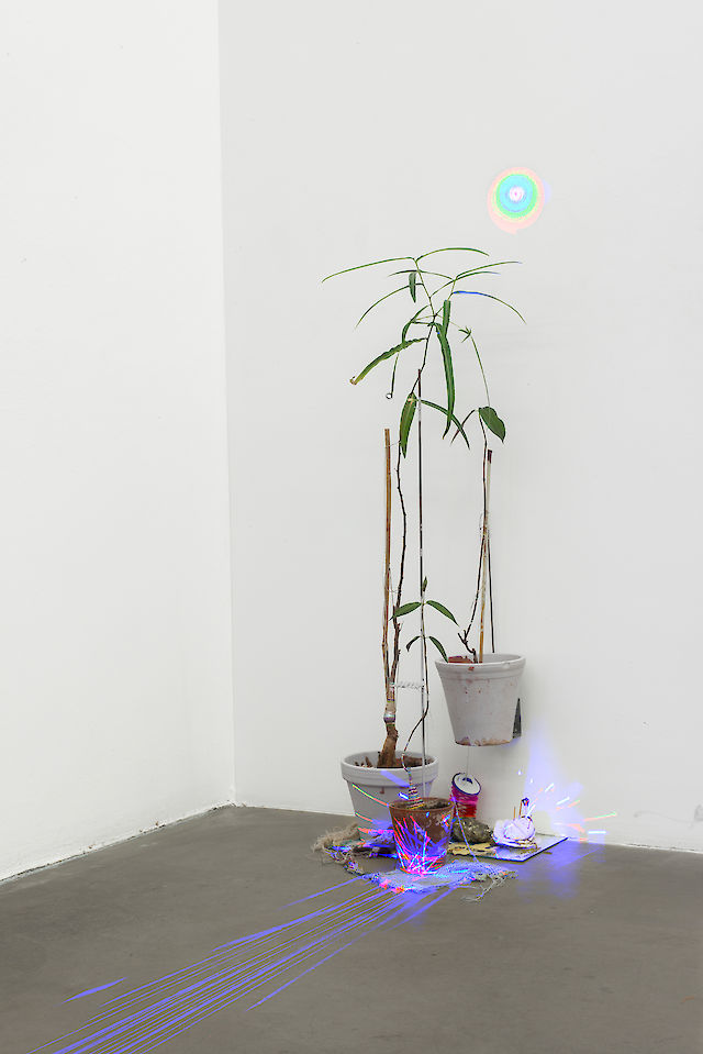 Martin Erik Andersen, We three, 2014, Painted plants, steel, knitting, porcelain, cotillions, ceramics, bamboo, 100&nbsp;×&nbsp;40&nbsp;×&nbsp;40 cm