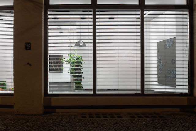 Nina Beier, installation view  Office Nature Nobody Pattern, 2014