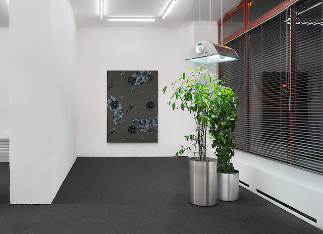 Nina Beier, installation view  Office Nature Nobody Pattern, 2014