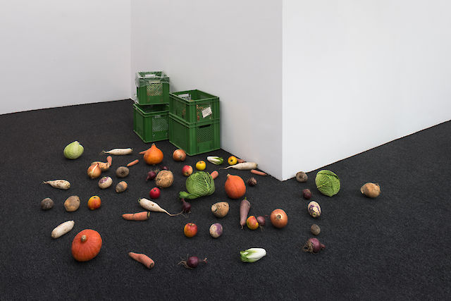 Nina Beier, Scheme, 2014, Online organic vegetable box scheme, delivered to the gallery at timed intervals, Dimensions variable