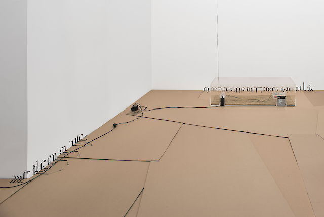Ben Schumacher, installation view Mister Vector, 2013