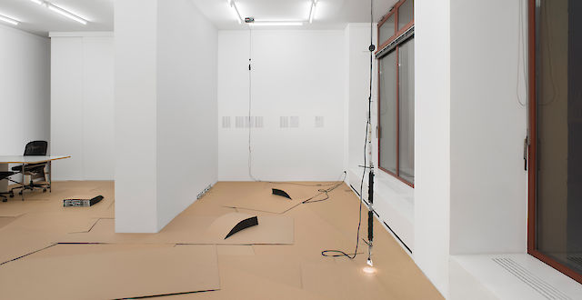 Ben Schumacher, installation view Mister Vector, 2013