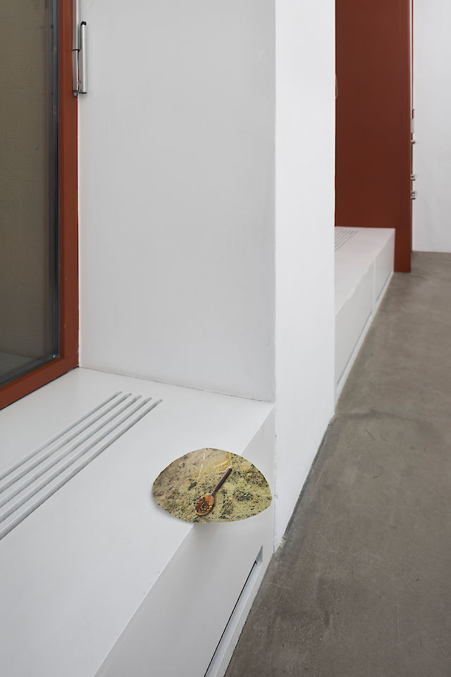 Benoît Maire, installation view  Ohne Warum, 2013