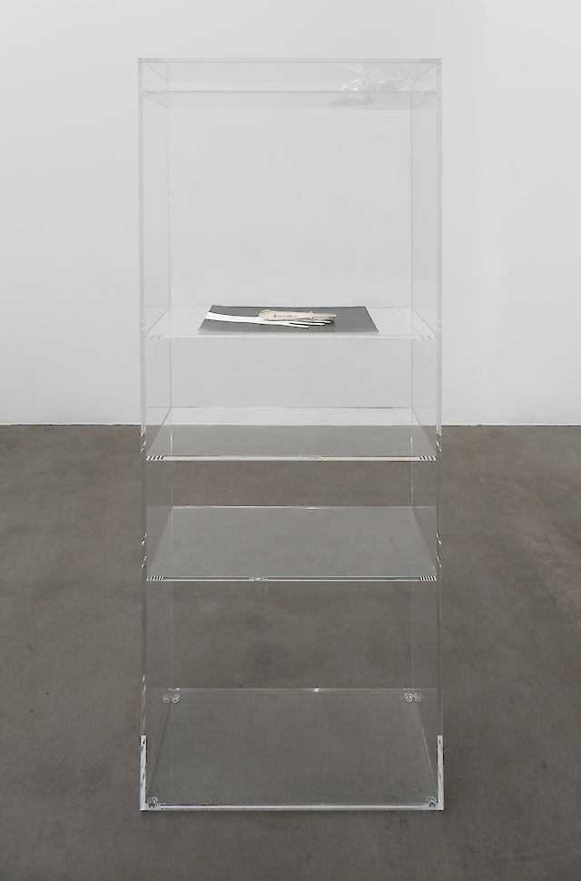 Benoît Maire, Weapon In The Evening, 2013, Plexiglas, resin, metal, rayogram, crystal fragments in plastic bag