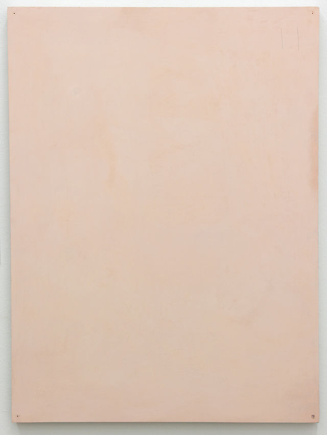 Thomas Kratz, Nude, 2011, Pastel on aluminium, 80&nbsp;×&nbsp;60&nbsp;×&nbsp;1,6 cm