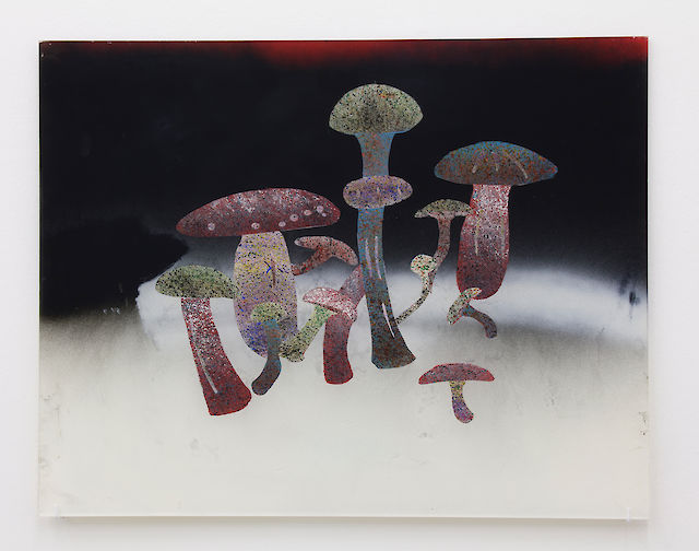 Aaron Angell, From Sadness season mushroom &amp; jug paintings, 2011, acrylic on acrylic