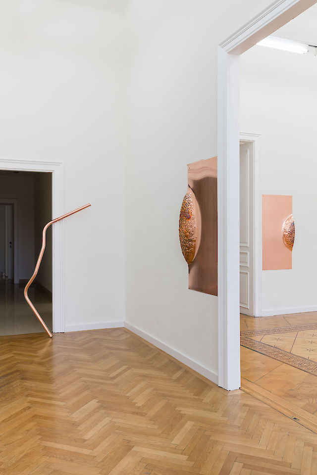 Marie Lund, Installation view Face to Back, Croy Nielsen, Vienna, 2018