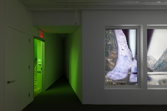 Sandra Mujinga, installation view Worldview, 2021, Swiss Institute, New&nbsp;York