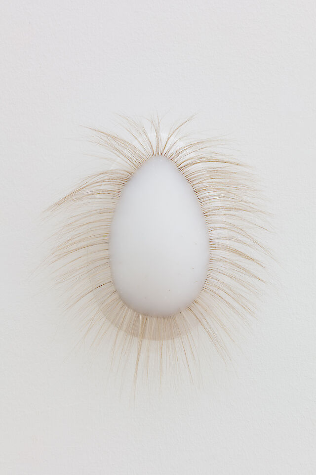 Marlie Mul, Scalp (Crown 2), 2021, Silicone and synthetic hair, 38&nbsp;×&nbsp;30&nbsp;×&nbsp;10 cm
photo by Kun​st​-Doku​men​ta​tion​.com