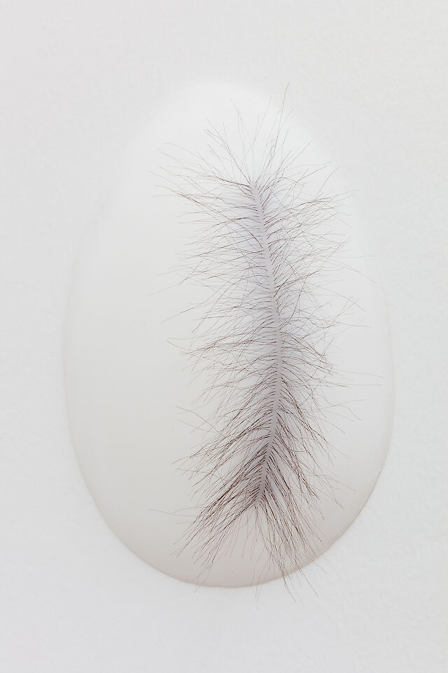 Marlie Mul, Scalp (Parting), 2021, Silicone and synthetic hair, 26&nbsp;×&nbsp;18&nbsp;×&nbsp;10 cm