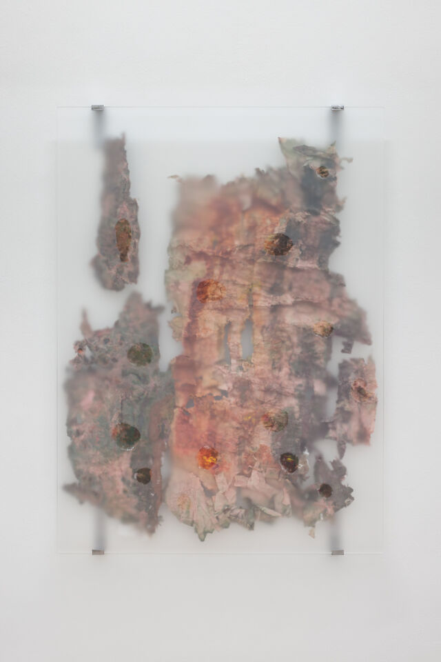 Sandra Mujinga, Slow Water (1), 2023, Plexiglass, paper, acrylic paint, invisible seal glue, 112&nbsp;×&nbsp;82&nbsp;×&nbsp;6 cm
