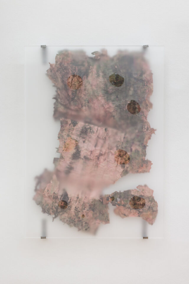 Sandra Mujinga, Slow Water (2), 2023, Plexiglass, paper, acrylic paint, invisible seal glue, 112&nbsp;×&nbsp;82&nbsp;×&nbsp;6 cm
