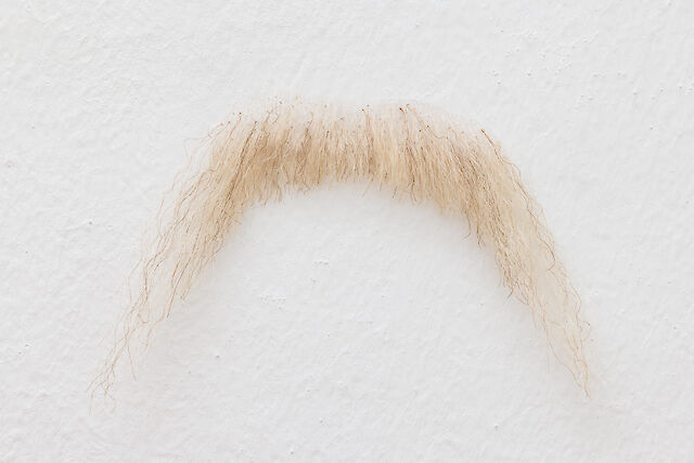 Nina Beier, Parts, 2023 (detail), 5 real hair beards, Dimensions variable