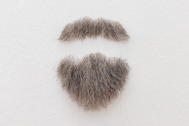 Nina Beier, Parts, 2023 (detail), 11 real hair beards, Dimensions variable