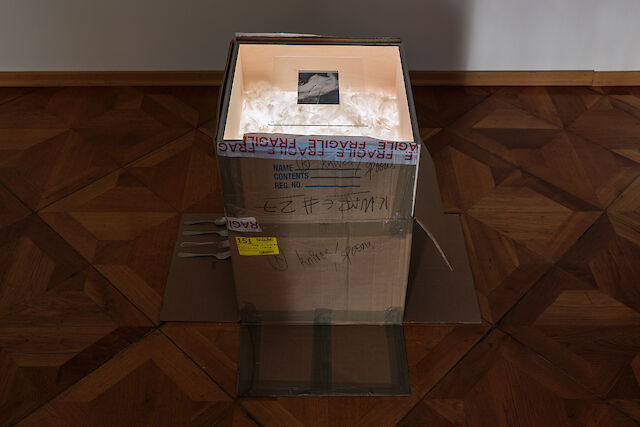 Patricia L. Boyd, 151. Knives, spoons (Contents in the Storage Problem), 2023, Moving box, plywood light box, prints, feathers, cutlery, glass 66.5&nbsp;×&nbsp;92.5&nbsp;×&nbsp;92.5 cm