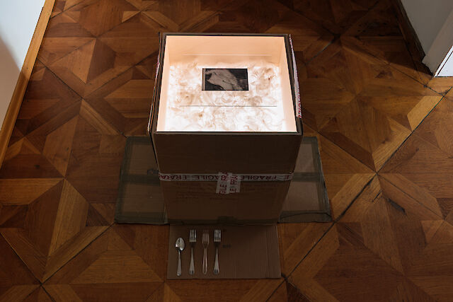 Patricia L. Boyd 151. Knives, spoons (Contents in the Storage Problem), 2023, Moving box, plywood light box, prints, feathers, cutlery, glass 66.5&nbsp;×&nbsp;92.5&nbsp;×&nbsp;92.5 cm All images by Kun​st​-doku​men​ta​tion​.com