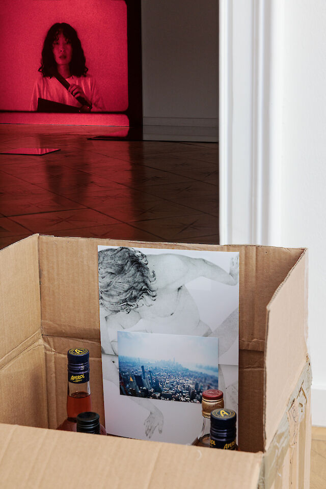 Patricia L. Boyd 99. Fill all my holes (Contents in the Storage Problem), 2023 (detail), Moving box, plywood light box, feathers, spirits, prints, glass, 48&nbsp;×&nbsp;84&nbsp;×&nbsp;62 cm