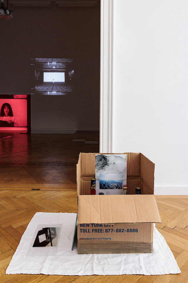 Patricia L. Boyd, 99. Fill all my holes (Contents in the Storage Problem), 2023, Moving box, plywood light box, feathers, spirits, prints, glass, 48&nbsp;×&nbsp;84&nbsp;×&nbsp;62 cm